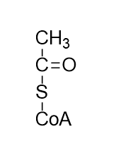 <p>What compound is this?</p>