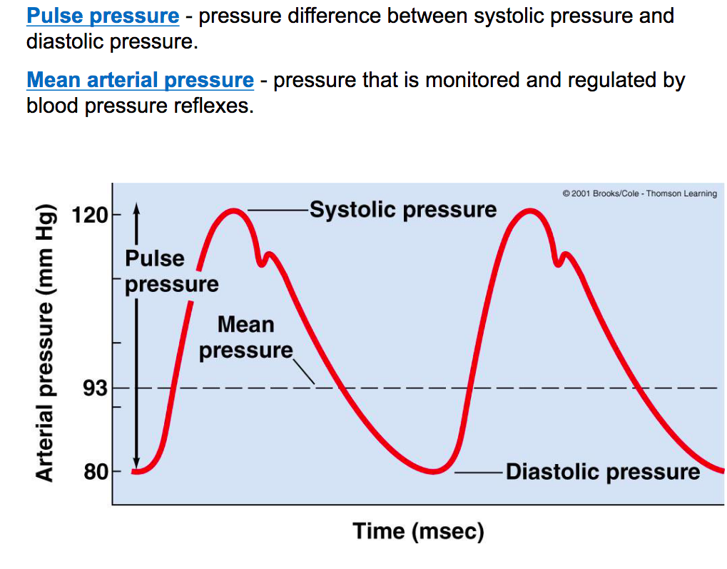 <p>MAP= cardiac output X peripheral total resistance</p><p>-peripheral total resistance : arterial radius and blood viscosity&nbsp;</p><p>-assess the blood flow to the organs by looking at pressure in the arteries </p>