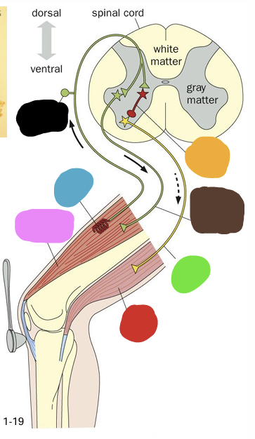 <p>what is represented by the red box</p>