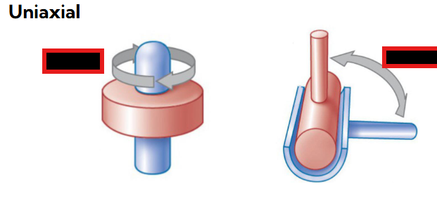 <p>What are the 2 UNIAXIAL classifications of synovial joints? </p>
