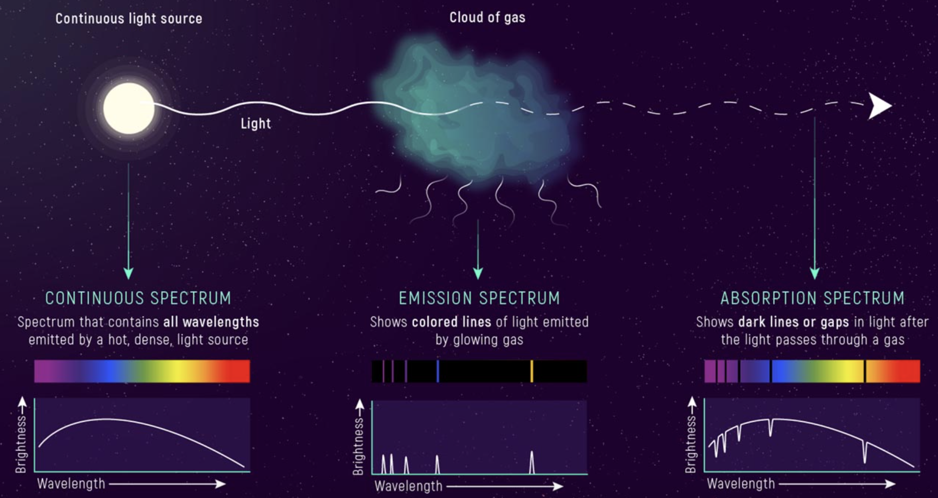 <p><span>When starlight passes through a cloud of gas, some of the light is absorbed and some is transmitted through the gas. The wavelengths of light that are absorbed depends on what elements and compounds in the gas cloud. Dark lines in the spectrum correspond to wavelengths that are absorbed by the gas.</span></p>