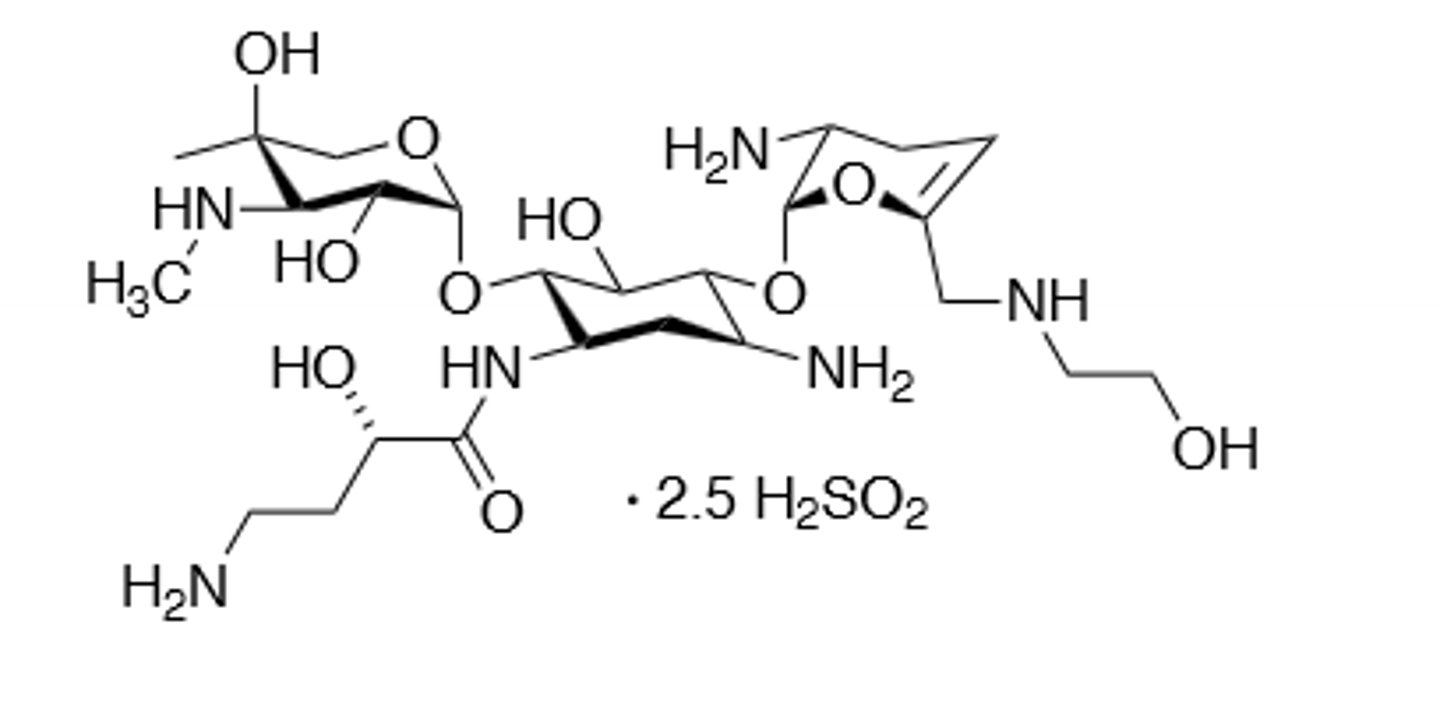 <p>Semisynthetic aminoglycoside, weight based dosing, ototoxic, nephrotoxic, can induce neuromuscular blockade, binds to 30S subunit and cause a frame shift mutation, inactivated by acetylation, adenylation, and phosphorylation, displace Mg and Ca ions to make membrane more permeable in gram (-), do not mix with penicillin, toxicity more likely if treatment exceeds 5 days, teratogen.</p>