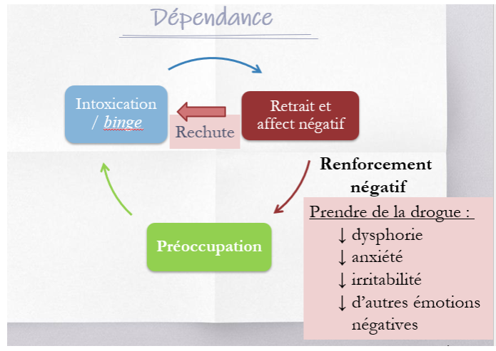 <ul><li><p>Retrait = on a retrouvé le nouvel équilibre, si on enlève ça = cause symptômes de sevrage (symptômes de dysphorie, anxiété, irritabilité, d’autres émotions négatives)</p></li><li><p>Anticipation : change comme étant une préoccupation, renforcement négatif : « si je ne consomme pas, je vais avoir les symptômes de sevrage » </p></li><li><p>Risque de rechute possible</p></li><li><p>Baisse plaisir ressenti, aug impulsivité et compulsion = désir de consommer ou rechute, risque de augmenter la dose ou de changer de substance </p></li></ul><p></p>