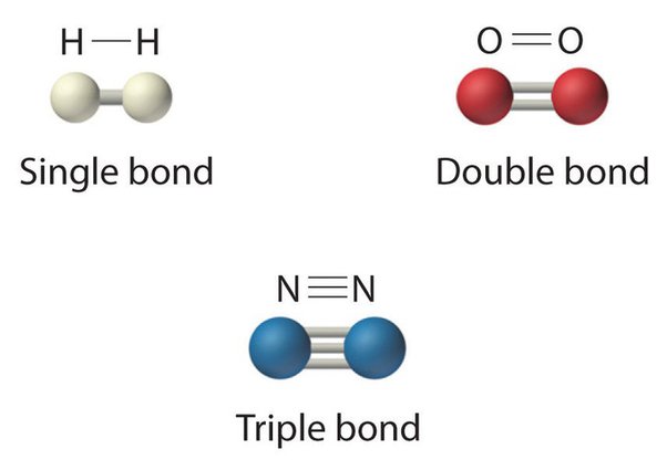 <p>only elements that exist as single, un-bonded atoms. This is due to their valence shell being full &amp; stable.</p>