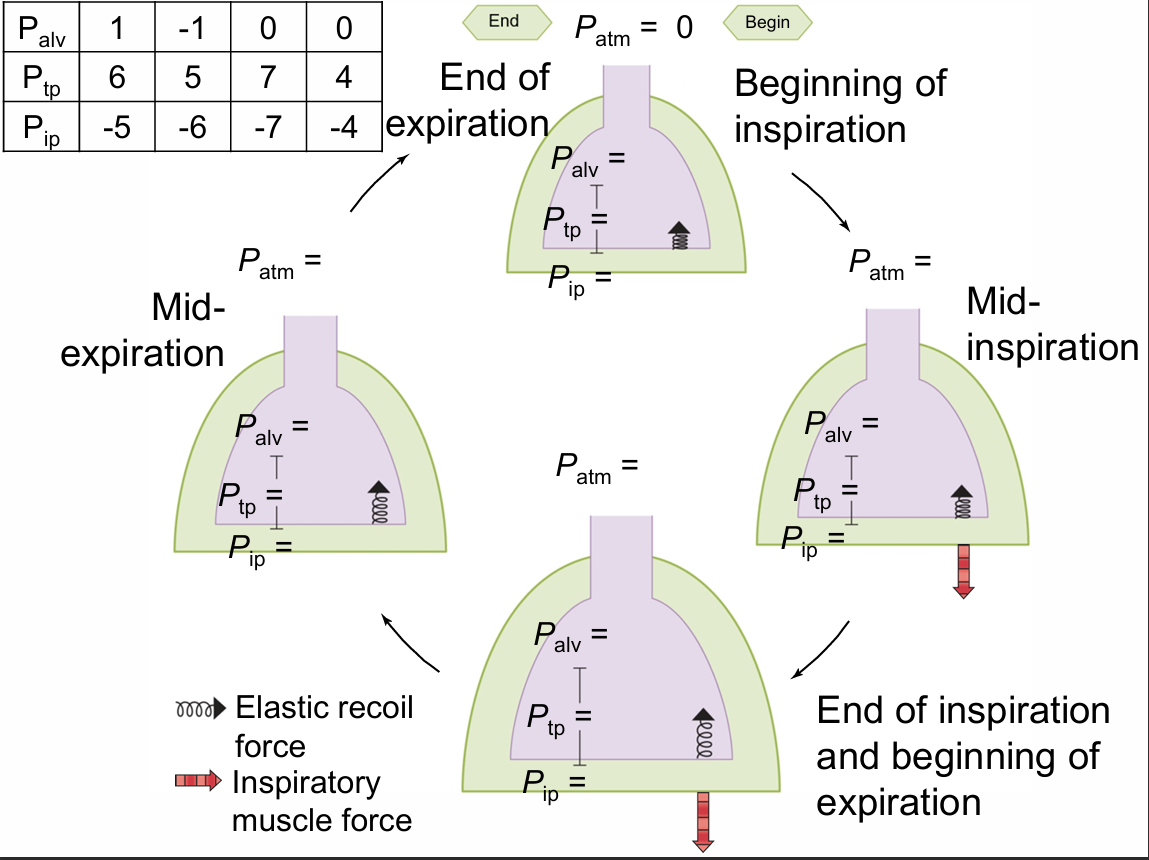 <p>DRAW THIS OUT using numbers</p>