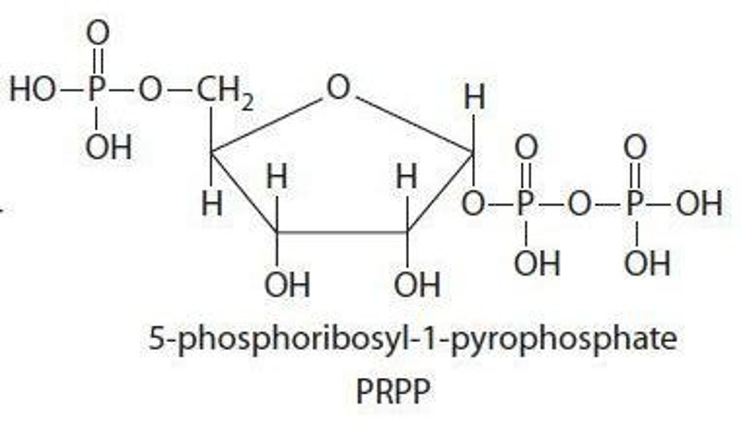 <p>PRPP is also utilized in histidine biosynthesis, in addition to its role in nucleotide synthesis.</p>