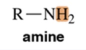 <p>Amine </p>