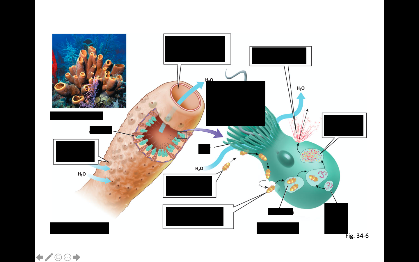 knowt flashcard image