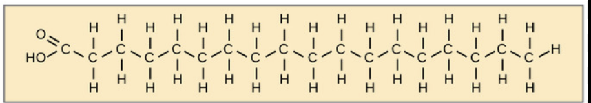 <p>what is this?</p>