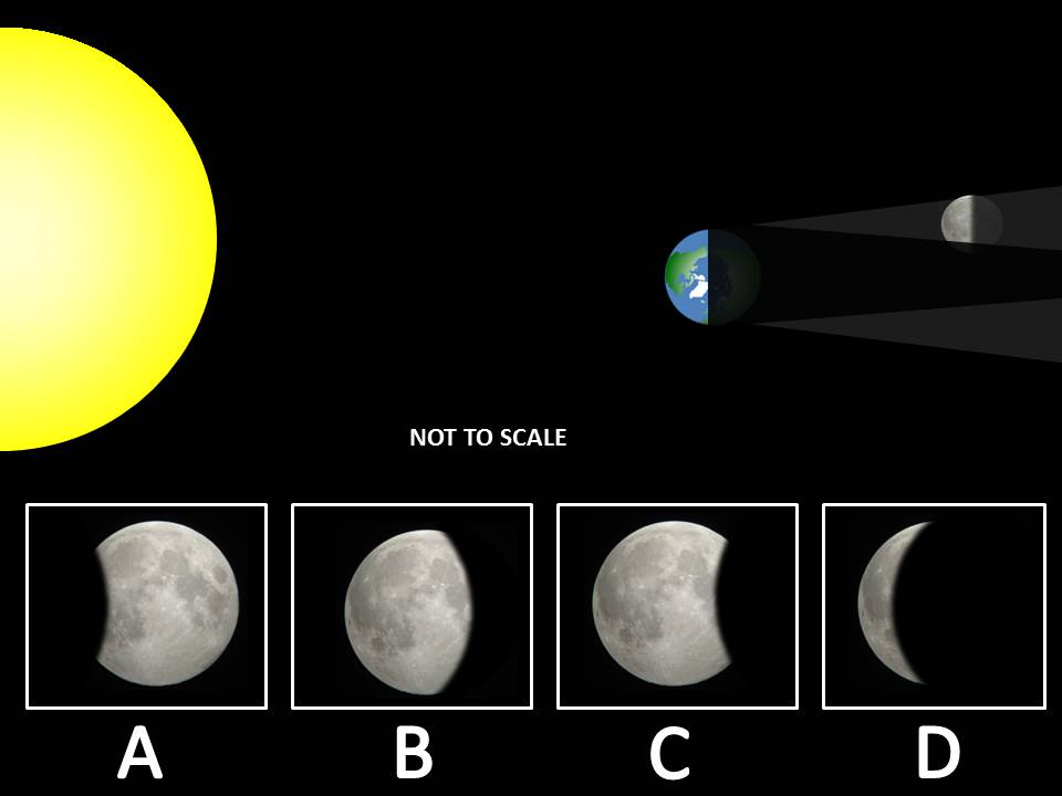 <p><span style="background-color: transparent;"><span>Which letter best represents the view from Earth?</span></span></p>