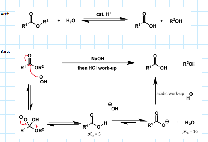 <p>can be hydrolysed by water but the reactions are slow at neutral pH. it can be catalysed by acid and this mechanism is the exact reverse of the Fischer process, but as with formation the reaction will be an equilibrium</p><p>instead esters can be hydrolysed under basic conditions. the equilibrium is displaced towards the product by the favourable deprotonation of the initially formed carboxylic acid.</p>