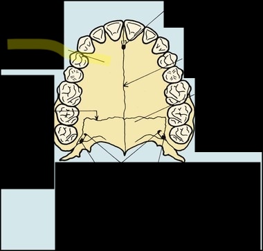 <p>What is the structure?</p>