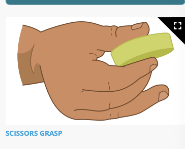 <p class="p1">Hits objects with other objects after demonstration</p><p class="p1"><strong>Able to grasp things using all the fingers and the thumb (<span>scissors </span>grasp<span>)</span></strong></p>