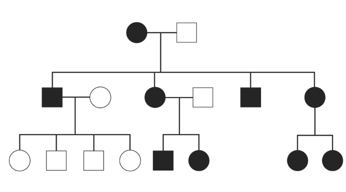 <p>Xác định kiểu di truyền trong cây phả hệ sau:</p>