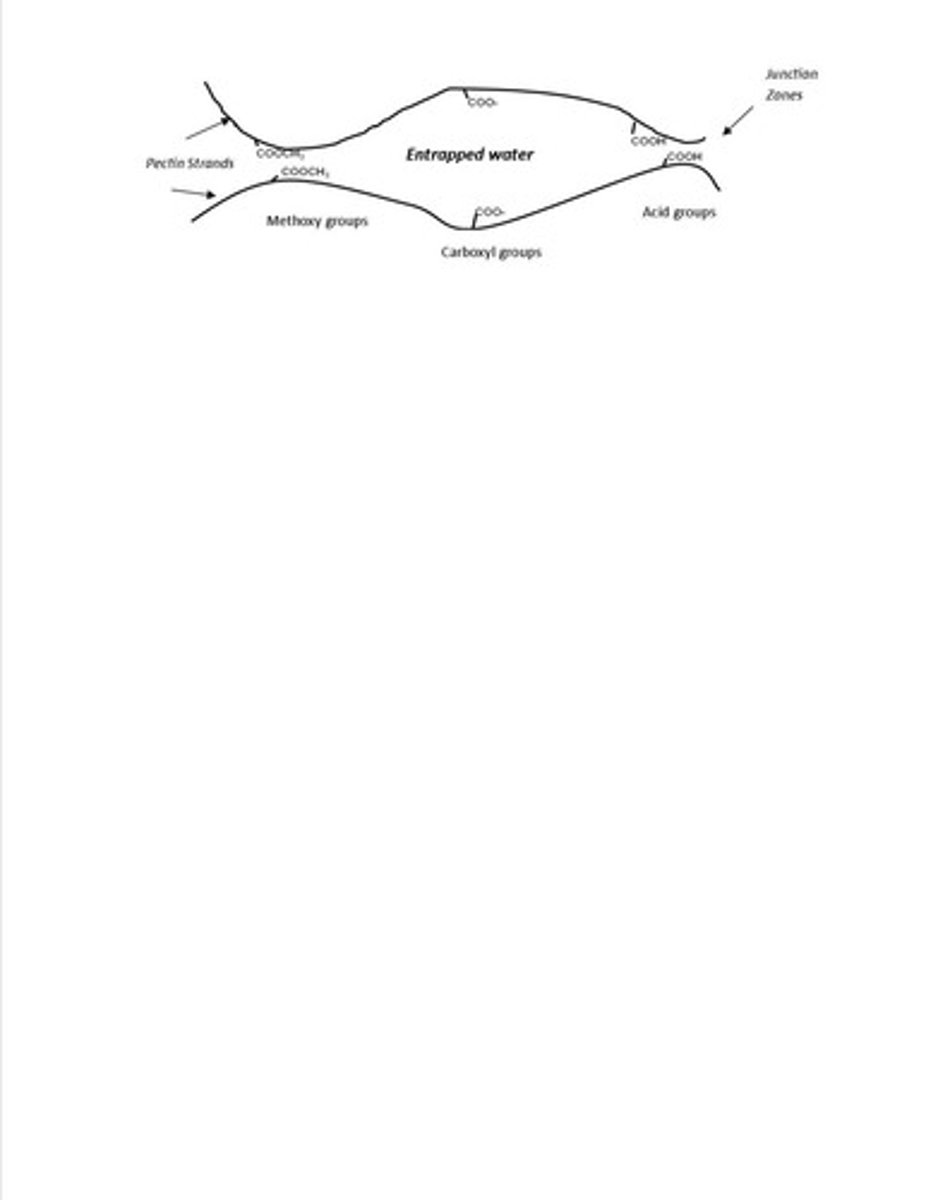 <p>Pectin forms gels through hydrogen bonding and ionic interactions, requiring acid for proper gelation.</p>
