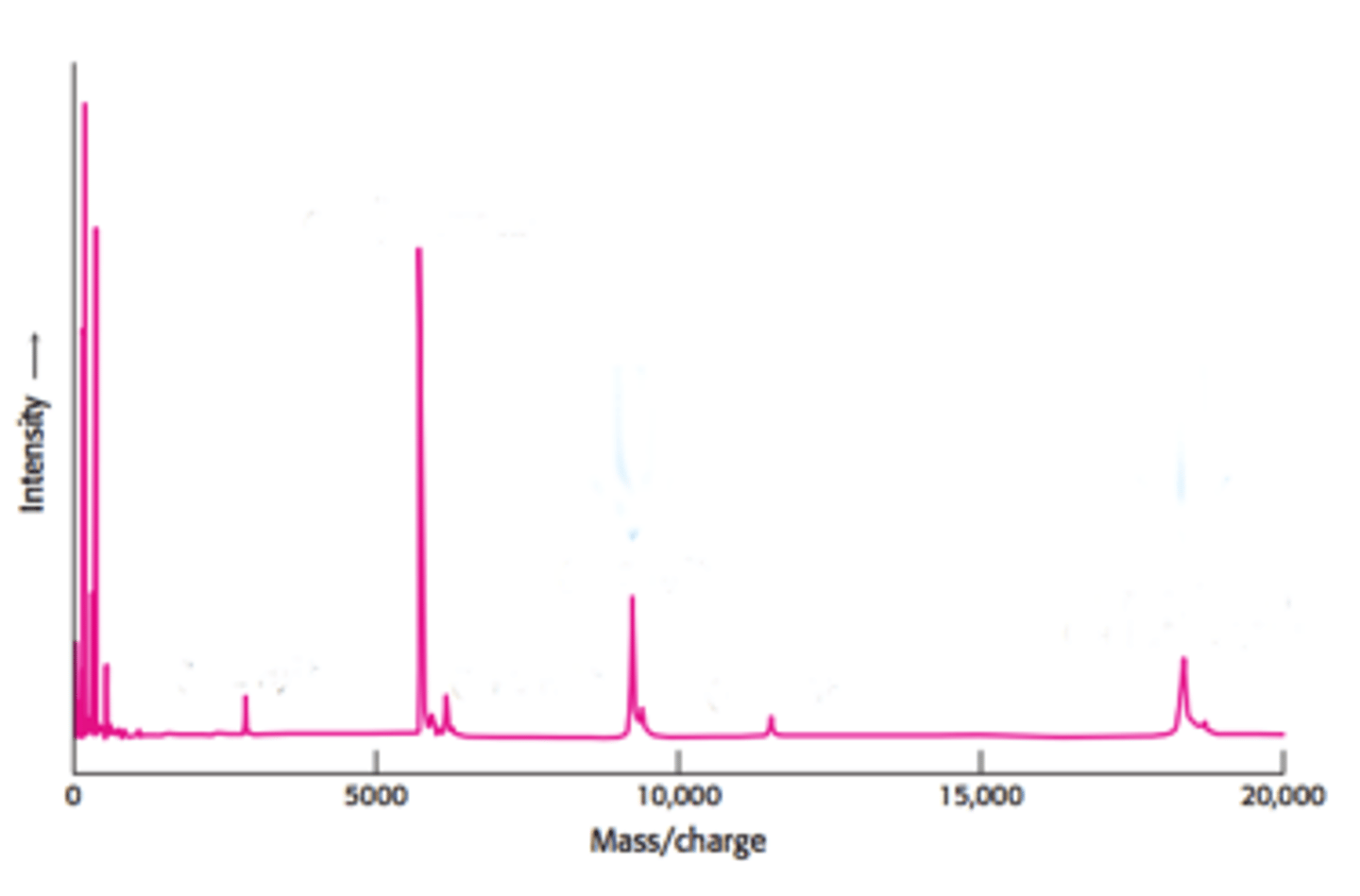<p>Purpose: Used to determine the molecular weight of a compound and aid in determining the molecular structure.</p><p>In mass spectrometry, the sample is vaporized and subjected to ionizing conditions. The charged molecule collides with an electron, resulting in the ejection of an electron from the molecule, making it a radical. The charged radical can undergo fragmentation or being detected. </p><p>The x-axis represents the mass/charge ratio (m/z), which</p><p>essentially just means the molecules mass using only the lowest isotopes of the atoms involved (e.g.,</p><p>12C, 1H, 35Cl). The y-axis represents the intensity, or relative abundance of the molecule, usually given as</p><p>a percentage.</p><p>Base peak: The tallest peak. This does not always represent the actual intact molecule, as it may</p><p>sometimes be a fragment of the molecule that is found in higher abundance.</p><p>Molecular ion peak (M): The peak that represents the molecule. The m/z value of this peak represents</p><p>the molecular weight of the molecule.</p><p>M+1 peak: The relative abundance of 13C in the molecule. Found in a relative abundance of 1.1%. So if</p><p>there is a M+1 with a m/z value of 4.4, it means that there are 4 carbons present (4.4/1.1 = 4).</p><p>M+2 peak: The relative abundance of either 37Cl or 81Br in the molecule. 37Cl will be found in a 3:1 ratio</p><p>relative to the M peak (e.g., if the M peak has a relative abundance of 90%, if the M+2 peak is at 30%, it</p><p>means there is chlorine present in the molecule). 81Br will be found in a 1:1 ratio relative to the M peak (e.g., if the M peak has a relative abundance of 90%, if the M+2 peak is also at 90%, it means there is bromine present in the molecule).</p>