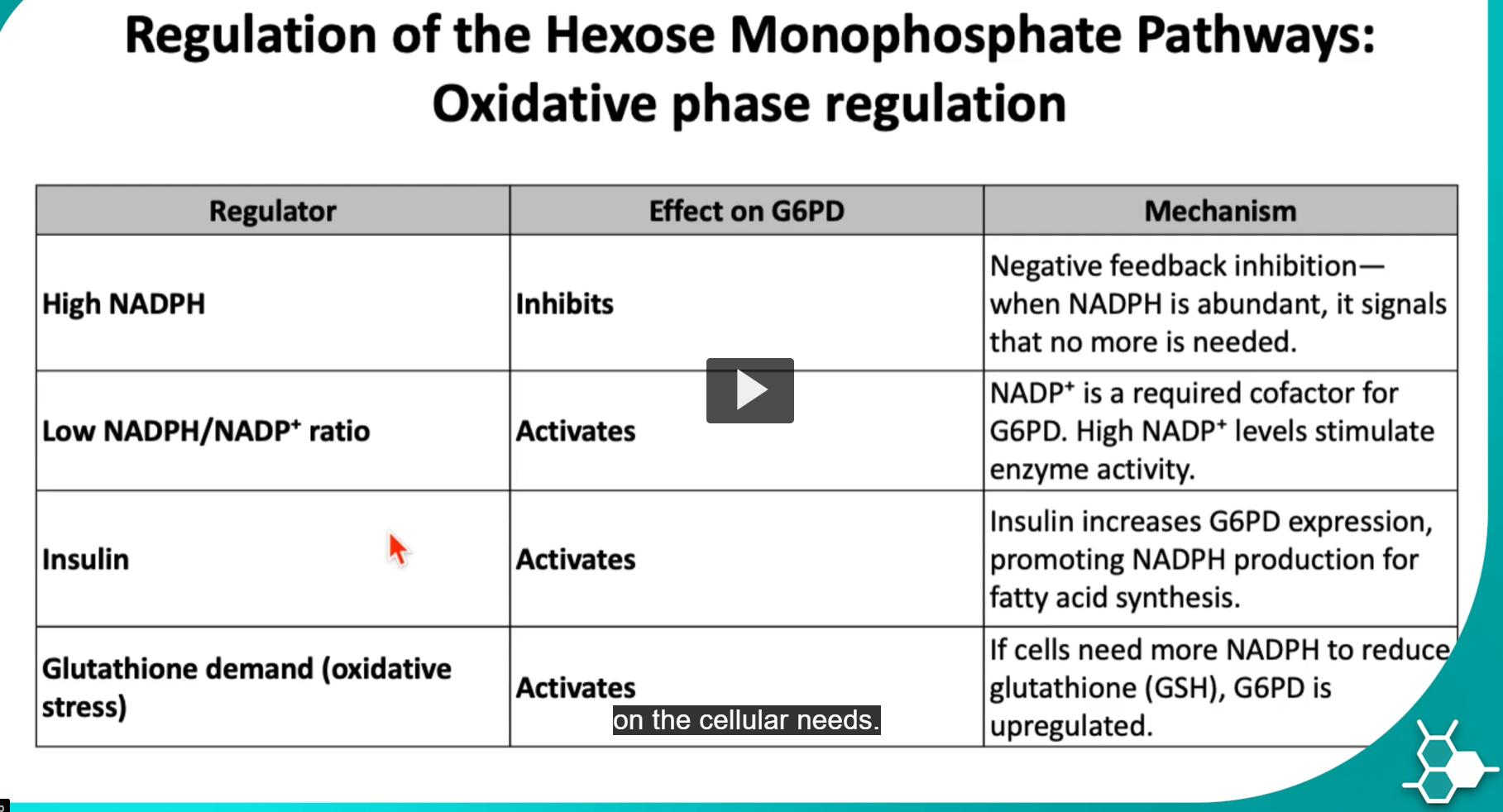 <p>the <strong>hexose monophosphate pathway</strong> is <strong>tightly regulated</strong> to <strong>balance NADPH production, nucleotide synthesis</strong>, and <strong>sugar metabolism</strong> on the <strong>cellular needs</strong>.</p><p>The <strong>key regulatory mechanisms</strong> include</p><ol><li><p>allosteric control: (This means <strong>molecules bind to an enzyme and change its activity</strong>, the main allosteric regulator is: NADPH, If NADPH binds to G6PD → enzyme slows.)</p></li><li><p>substrate availability (This means the reaction rate depends on how much substrate or cofactor is present, Here the important molecule is: NADP⁺, G6PD requires NADP⁺ to accept electrons. If NADP⁺ levels rise → the enzyme becomes more active.</p></li></ol><ol><li><p>hormonal regulation: Hormones change enzyme expression, <strong>Insulin</strong></p><p><strong>Insulin increases production of G6PD</strong> <strong>enzyme</strong> in certain tissues.</p></li></ol><p>during the oxidative phase, we will see different ways that glucose-6-phosphate will be regulated, mainly, due to HIGH or LOW LEVELS of NADPH, but we will also see insulin and gluthathione, which can regulate the action of this enzyme.</p><p>3. High NADPH → Inhibits G6PD</p><p>Effect: High NADPH inhibits the enzyme.</p><p>Why: This is negative feedback inhibition.</p><p>If NADPH is already abundant, the cell does not need more.</p><p></p><p>4. Low NADPH / High NADP⁺ → Activates G6PD</p><p>Effect</p><p>Low NADPH or high NADP⁺ activates the enzyme.</p><p></p><p>5. Insulin → Activates G6PD</p><p>Effect</p><p>Insulin increases the expression of the G6PD enzyme.</p><p>Why</p><p>Insulin signals the fed state.</p><p>In the fed state:</p><p>glucose levels are high</p><p>excess glucose is converted to fat</p><p>Fatty acid synthesis requires large amounts of NADPH.</p><p>So insulin stimulates the PPP to provide that NADPH.</p><p></p><p>6. Glutathione Demand (Oxidative Stress) → Activates G6PD</p><p>Effect</p><p>When cells experience oxidative stress, G6PD activity increases.</p><p>Why: Cells use glutathione (GSH) to neutralize reactive oxygen species.</p><p>Reaction: <span>2GSH+H2O2→GSSG+2H2O</span></p><p>But once glutathione becomes oxidized (<strong>GSSG</strong>), it must be regenerated:</p><p><span>GSSG+NADPH→2GSH</span></p><p>So oxidative stress increases <strong>NADPH consumption</strong>.</p><p>That raises <strong>NADP⁺ levels</strong>, which activates G6PD.</p>
