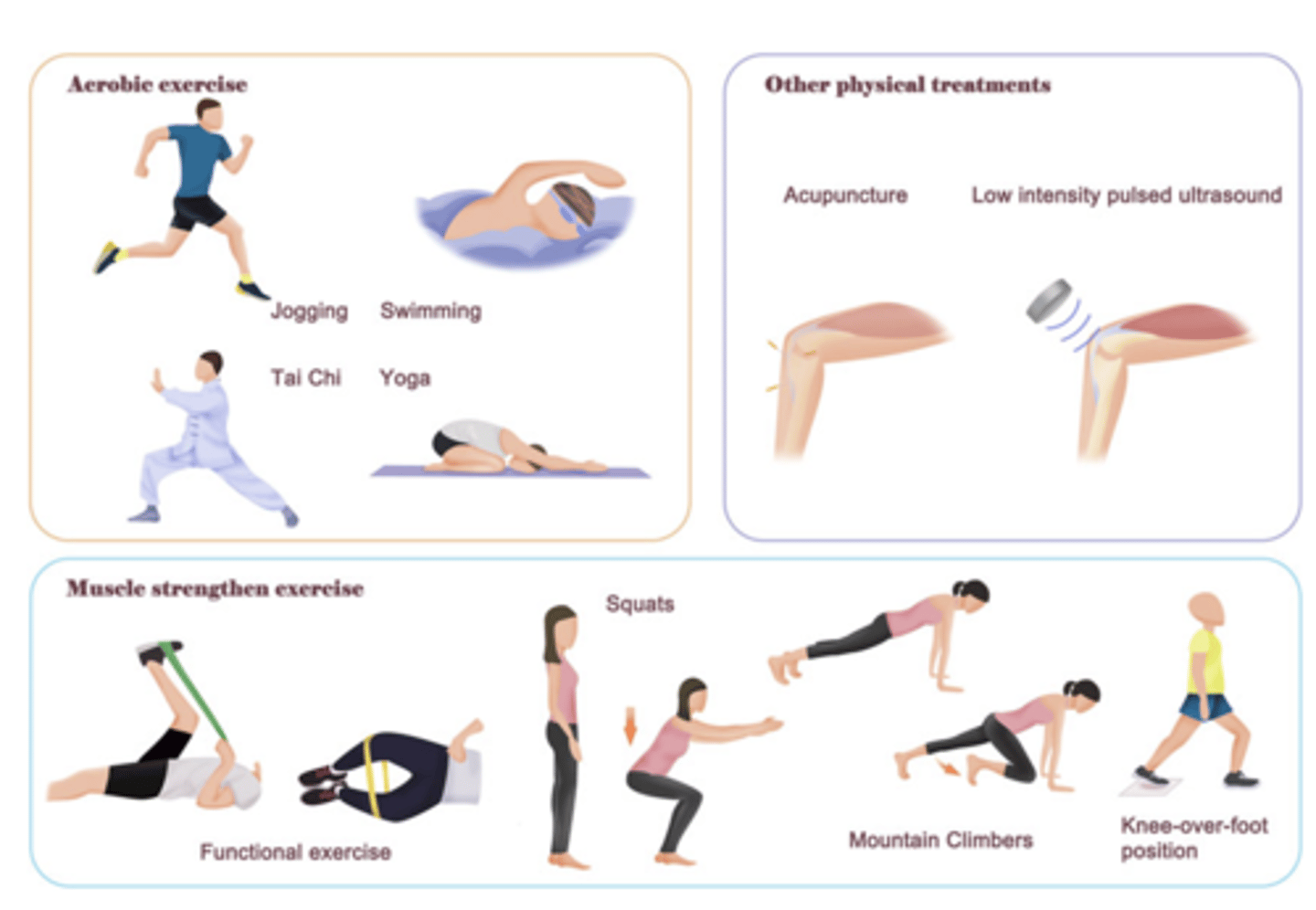 <p>Symptoms:</p><p>- Joint pain, stiffness, instability</p><p>- Limited movement</p><p>- Deformity</p><p>Risk factors:</p><p>-Obesity</p><p>- Injury when young</p><p>- Advanced Age</p><p>- Sex (male younger, female older)</p><p>Treatment</p><p>(symptom management):</p><p>- Joint protection (exercise, rest, weight management)</p><p>- Acetominophen or NSAIDs</p><p>- Corticosteroid injections</p><p>- Total joint replacement (severe cases)</p>