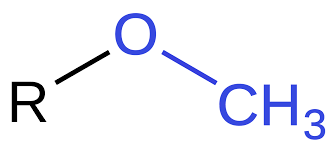<p>-OCH3</p><ul><li><p>prefix: Methoxy-</p></li></ul><p>-OCH2CH3</p><ul><li><p>prefix: Ethoxy-</p></li></ul><p>-OR (R = any alkyl (any # of CH2))</p><ul><li><p>prefix: Alkoxy-</p></li><li><p>Suffix: N/A</p></li></ul><p></p>