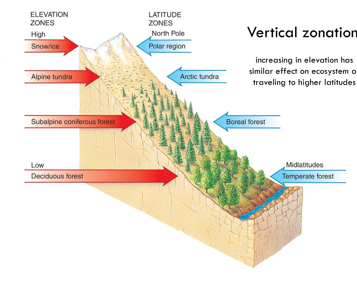 increasing in elevation has similar effect on ecosystem as traveling to higher latitudes 