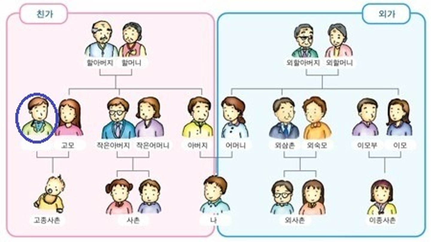 <p>dượng (chồng của cô)</p>