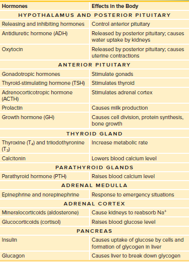 Table 27.1 Summary of the Endocrine System