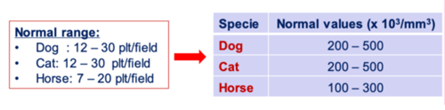 <p>it can be either manual or automatic</p><p>manual: we do a blood smear using a sample with EDTA. we count the number of platelets per field, and then multiply this by 15,000. </p>