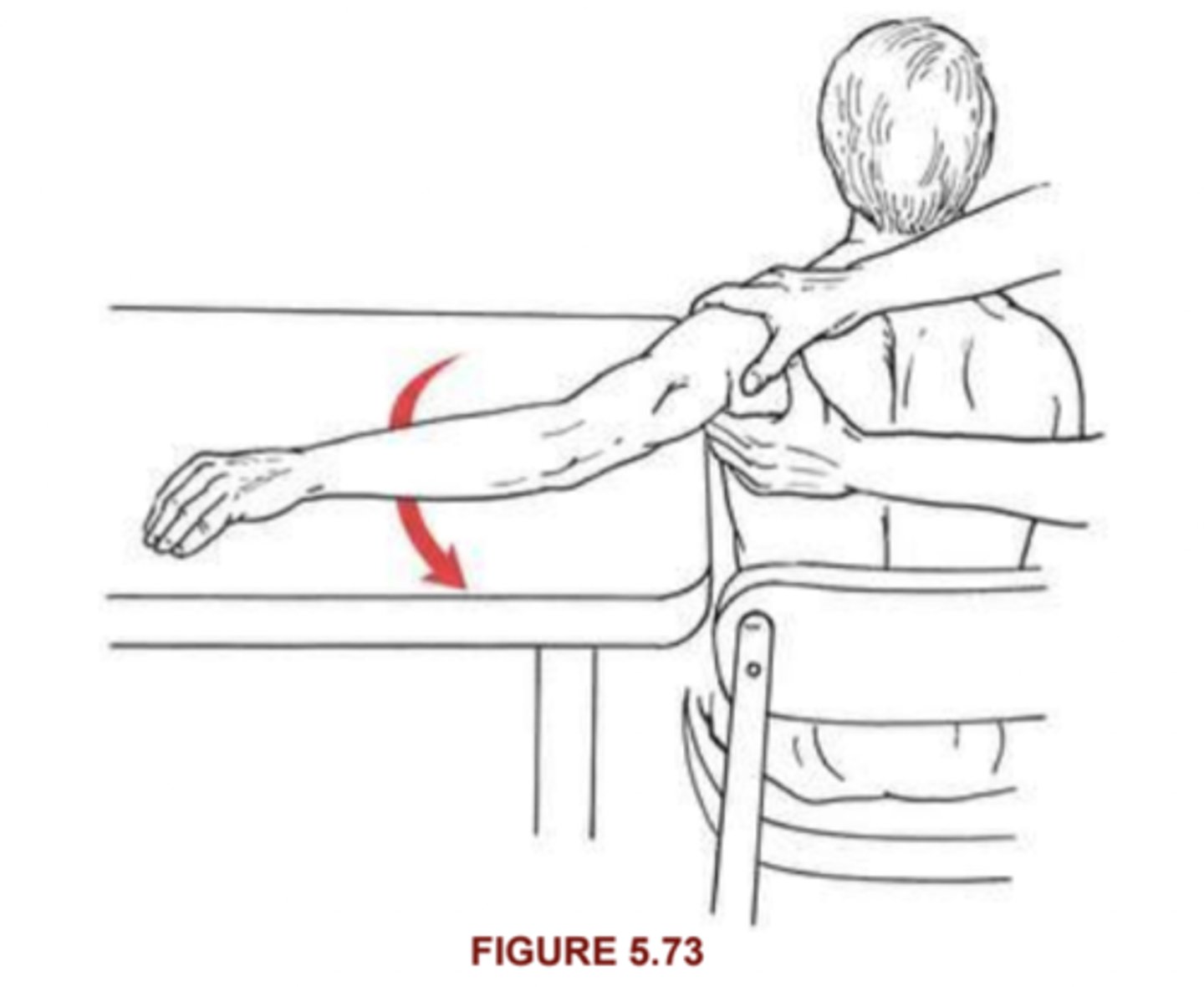 <p>Position: Short sitting with arm supported on table (smooth surface) in 90° of abduction; elbow partially</p><p>flexed. </p><p>Instructions:</p><p>Stand behind patient. Stabilize by contouring one hand over the superior aspect of the shoulder and</p><p>the other over the scapula</p><p>Test:</p><p>Patient slides (or tries to move) the arm across the table in horizontal abduction.</p><p>2/5:</p><p>Moves through full range of motion.</p><p>1/5</p><p>Palpable contraction; no motion.</p><p>0/5</p><p>No discernable palpable contractile activity.</p>