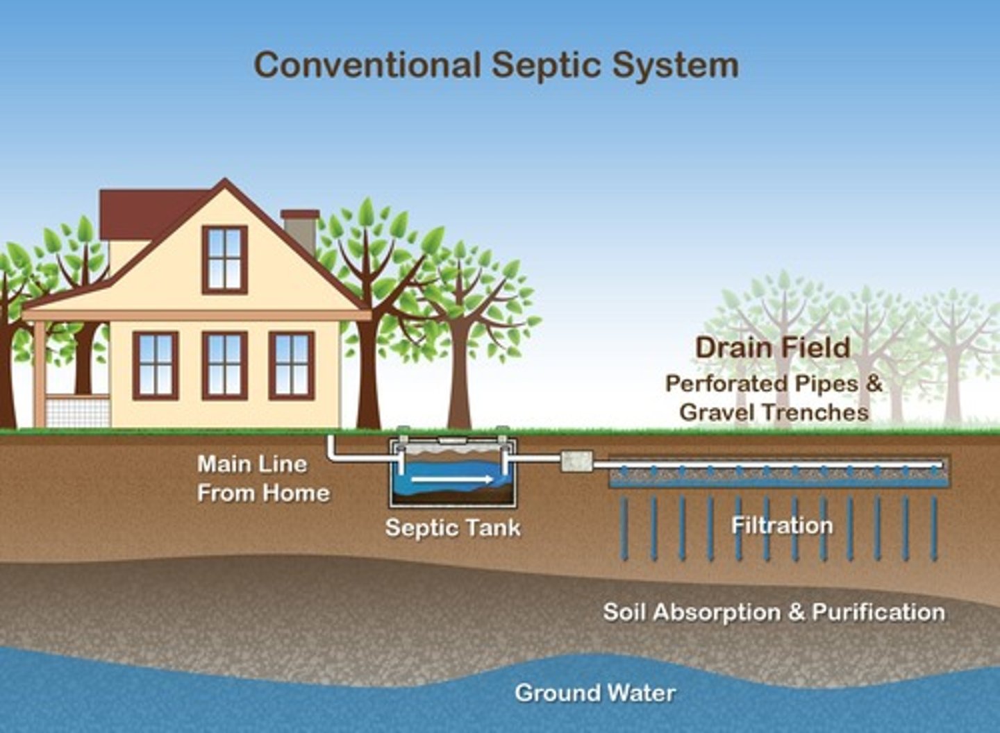 <p>Soil microbes break down organic waste in septic systems and can help treat sewage sludge.</p>
