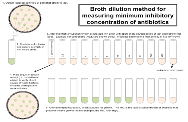 <p>Can you label, describe and explain what this diagram is/shows?</p>