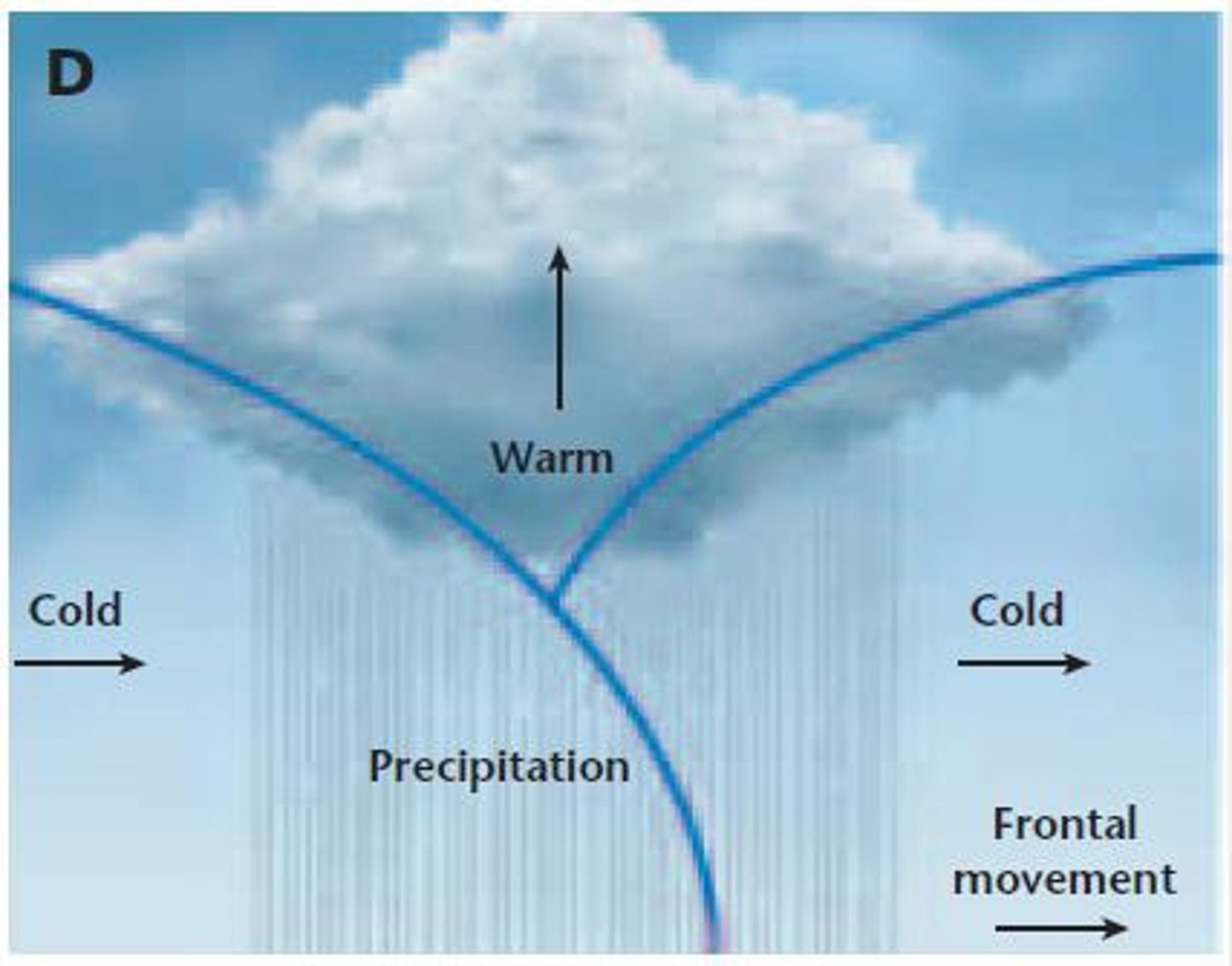 <p>A thunderstorm forms when warm air rises, and cold air sinks</p>