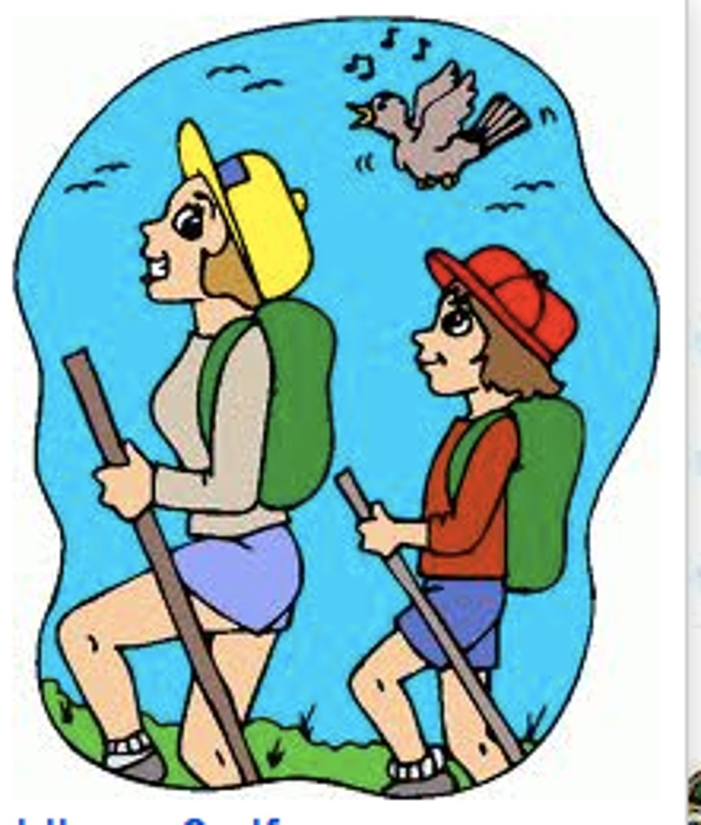 <p>to go on a hike</p>