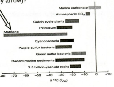 <p>What does the chart at right indicate about methane (indicated by arrow)?</p>