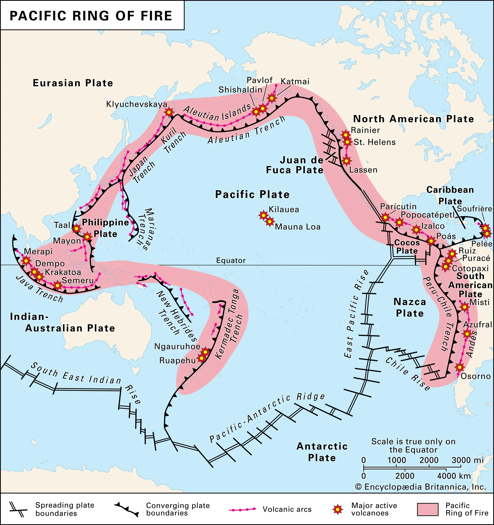 <p>pacific plate</p>