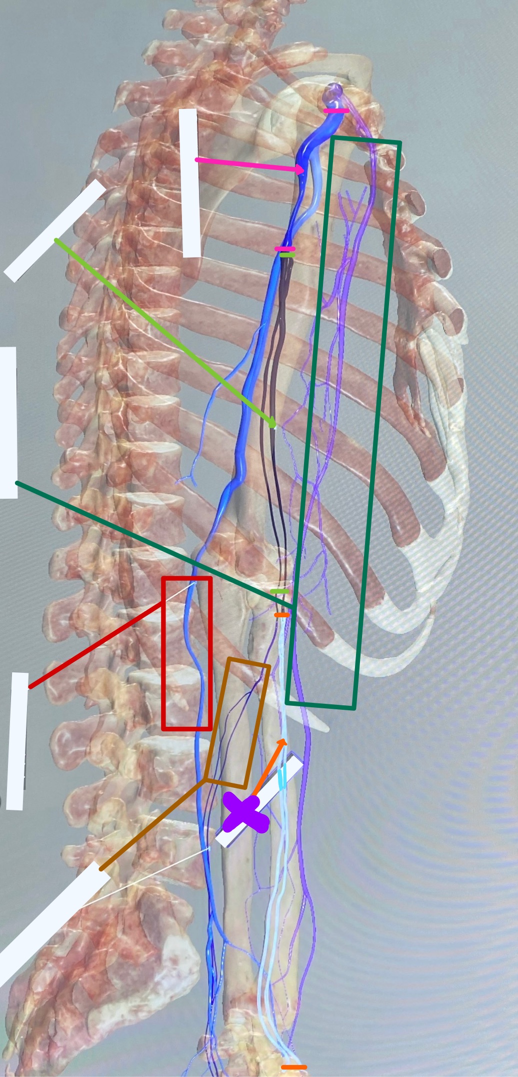 knowt flashcard image