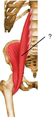 <p>Nom et caractéristiques de cette structure ?</p>