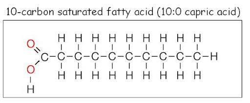 <p>Saturated fatty acids </p>