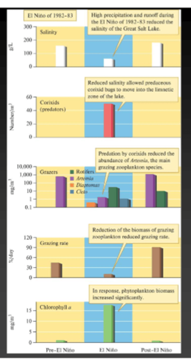 <p>It reduced the population of brine shrimp from 12,000 to 74 per m^3 which caused Phytoplankton to increase significantly</p>