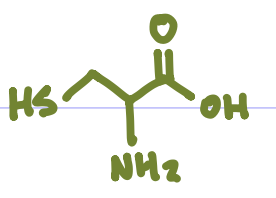 <p>Is this Amino Acid Polar or Non-polar?</p>
