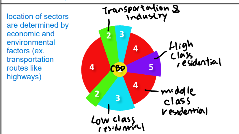 <p><span>A theory of urban land use developed by Homer Hoyt, which posits that cities develop in sectors along transportation routes, with different land uses radiating outward from the central business district.</span></p><ul><li><p><span>Example: Detroit, USA.</span></p></li><li><p><span>Significance: The Sector Model helps explain the spatial organization of cities based on transportation corridors and land value gradients.</span></p></li></ul>