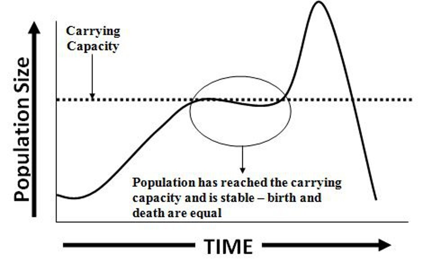 <p>the maximum population size of the species that the environment can sustain</p>