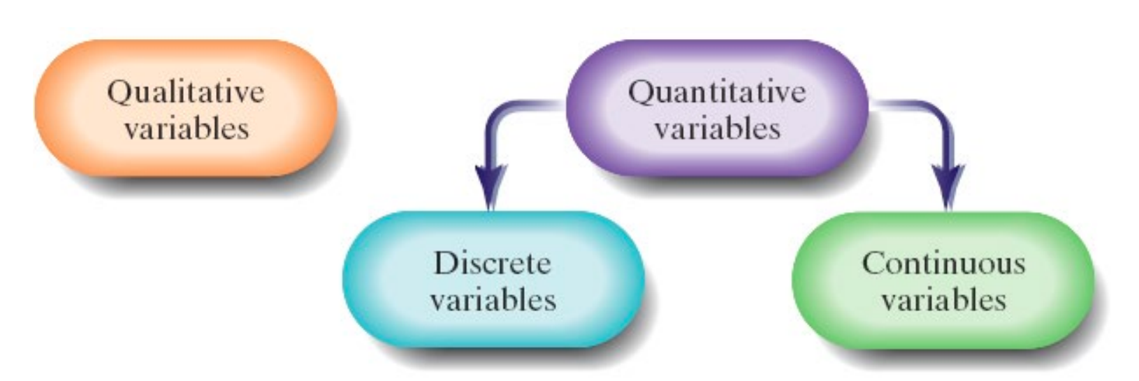 <p>are the characteristics of the individuals within the population</p>