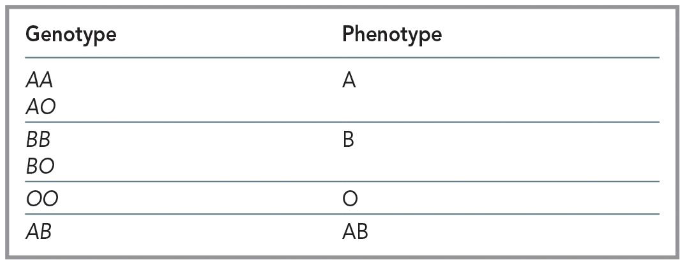 <ul><li><p><strong><u><span>chromosome 9</span></u></strong></p><ul><li><p><span>Three alleles: A, B, or O</span></p></li><li><p><span>A and B are co-dominant, A and B are dominant over O</span></p></li></ul></li></ul><p></p>