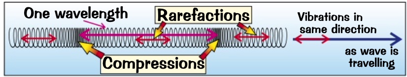 in longitudinal waves the vibrations are along the same directions as the wave transfers energy

e.g’s?

* sound and ultrasound
* shock waves egg some seismic waves
* a slinky spring when you push the end