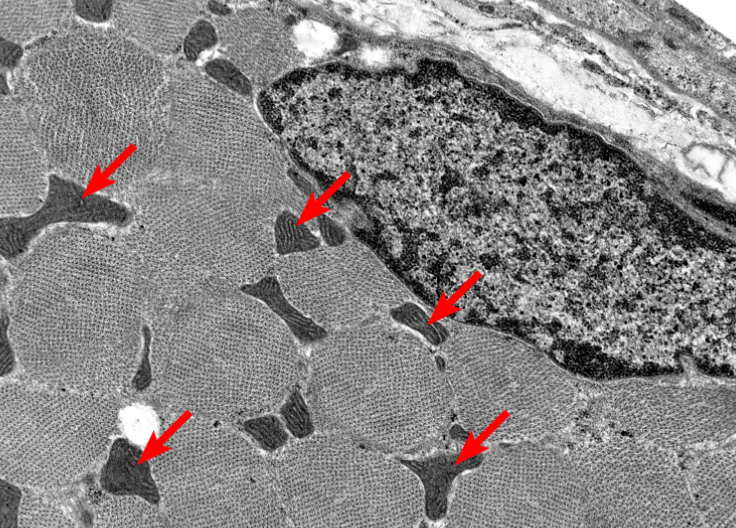 <p>What is this highlighting</p>