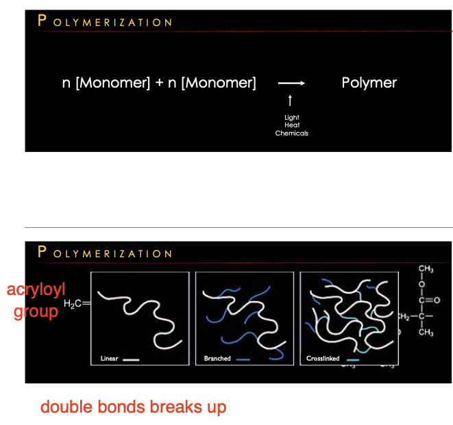 <ul><li><p>a chemical process where small molecules, called monomers, link together to form long chains of larger molecules, called polymers</p></li><li><p>Free radical chain reaction (double bond breaks → reactive site).</p></li><li><p>50–70% (not all monomers react) bec now maxtrix is more hard less free space</p></li></ul><p></p>
