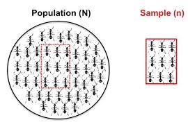 <p>Sample</p>