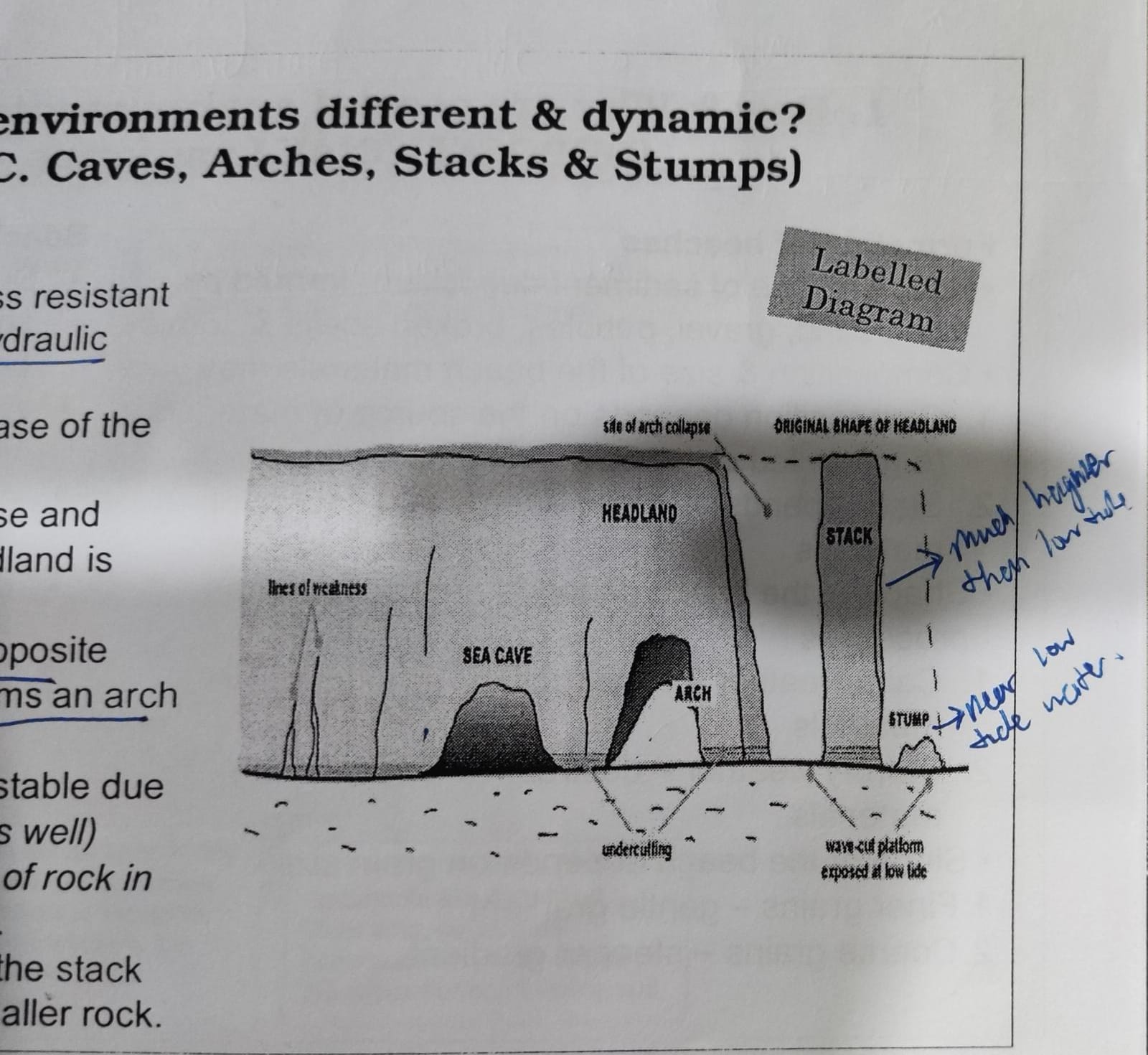 * within headlands, some rocks may be @@less resistant to erosion@@ thus @@eroded more quickly@@ by hydraulic action and abrasion
* waves @@enlarge lines of weaknesses@@ at the base of the headland to @@form a notch@@
* the @@continuous action of erosion@@ at the base and undercutting it @@forms a cave when the headland is hollowed@@
* @@wave refraction@@ causes @@two caves at the opposite sides@@ of the headland to be @@aligned and forms an arch@@
* over time the @@roof of the arch becomes unstable@@ due to further @@erosion and gravity,@@ causing its @@collapse to form a stack@@
* continued wave erosion and weathering of the stack will @@break the rock down to form stump@@ - smaller rock