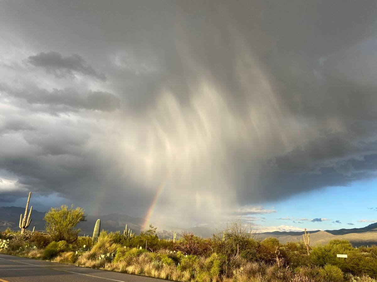 <p>monsoon /mɒnˈsuːn/</p>