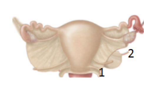 <p>What is 2?</p>